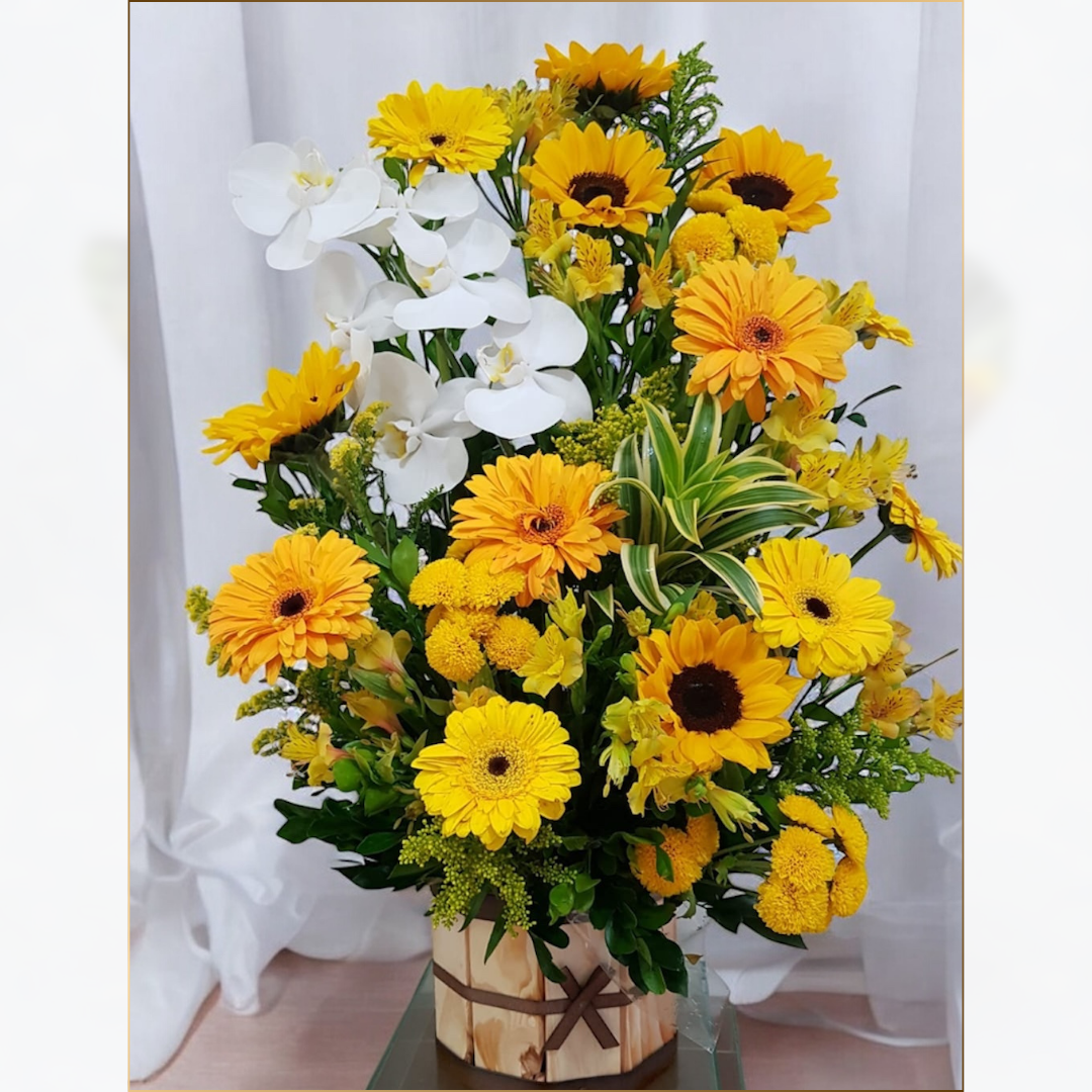 ARRANJO DE ORQUÍDEA COM
GIRASSOL E GÉRBERAS